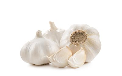 garlic